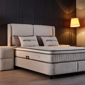 Reina Polsterbett 160×200